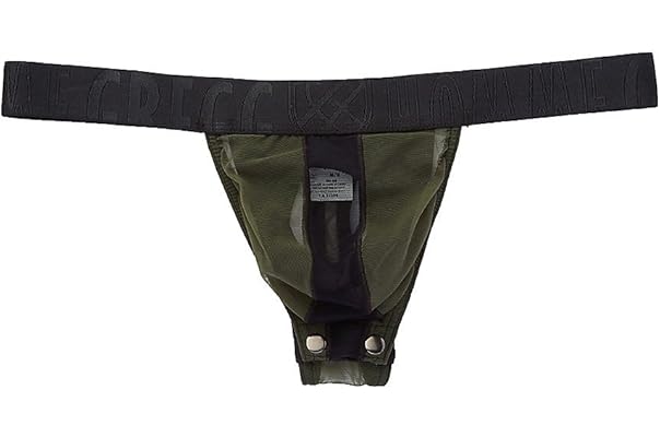 gregg homme 男式 temptation 透视意大利网眼丁字裤 152104